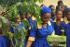 PEAS Foundation 2014 World Environment Day Photos